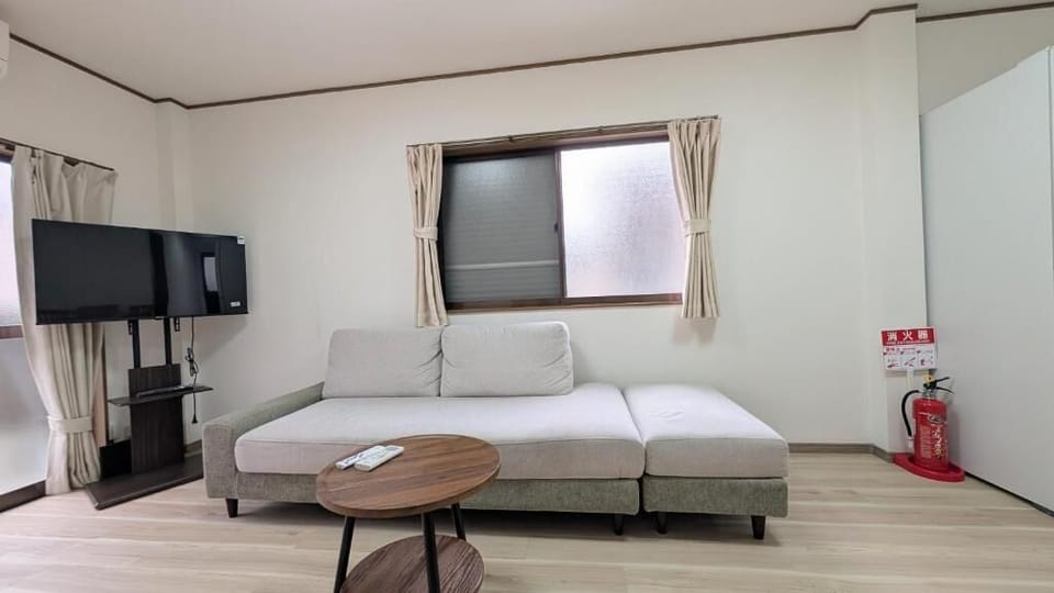 Flat-screen TV