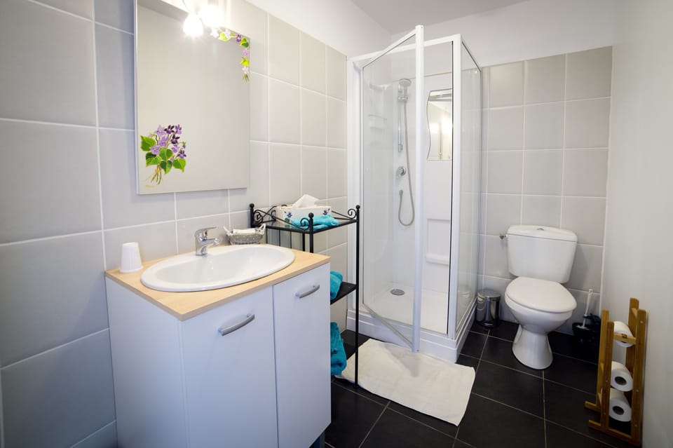 Shower, free toiletries, hair dryer, towels