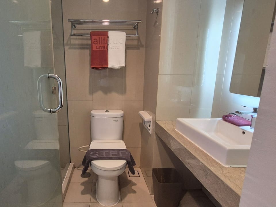 Shower, towels, soap, toilet paper