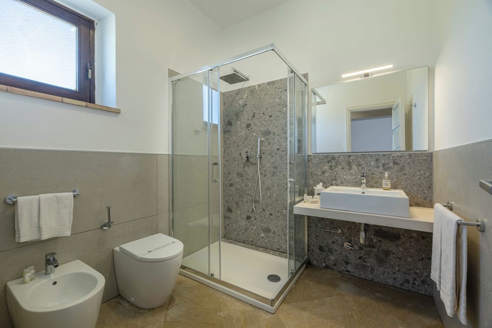 Superior Double Room | Bathroom | Shower, free toiletries, hair dryer, towels