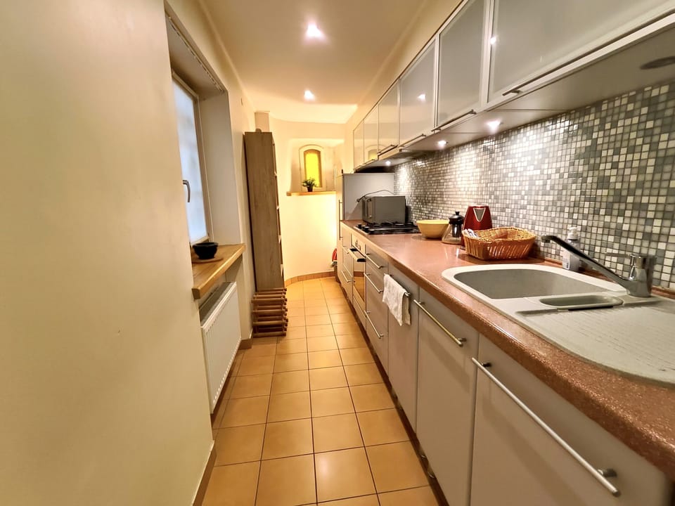 Apartment, 1 Bedroom | Private kitchen | Fridge, stovetop, electric kettle, griddle
