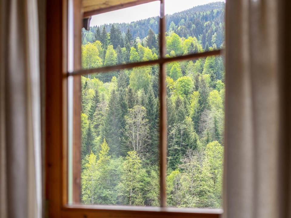 View from Holiday Home [summer]