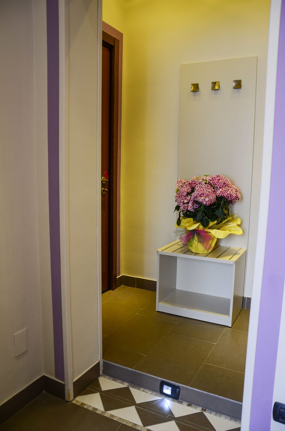 Double or Twin Room | Room amenity