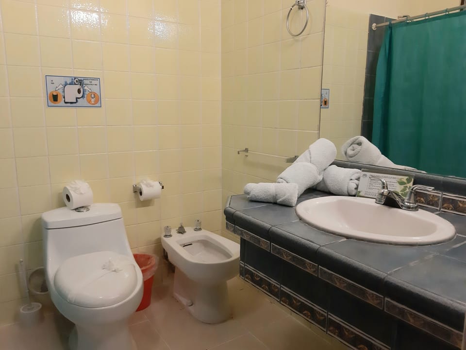 Shower, free toiletries, bidet, towels