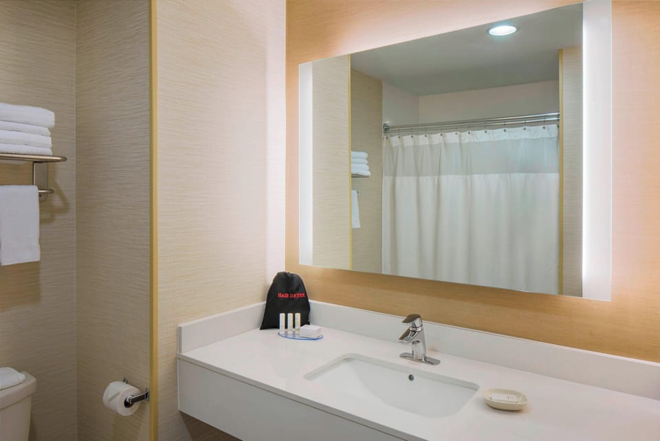 Combined shower/tub, hair dryer