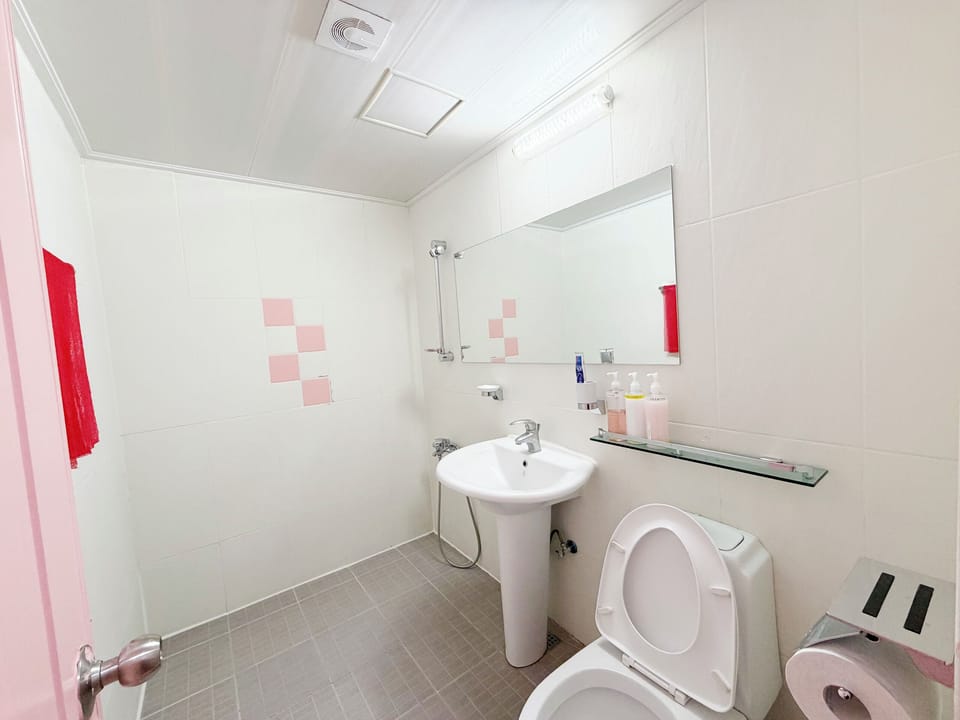 Hair dryer, towels, soap, shampoo