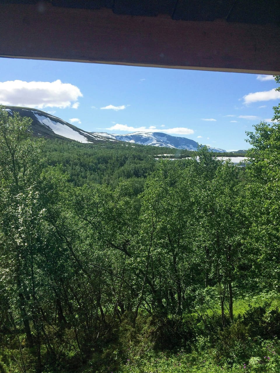 View from property