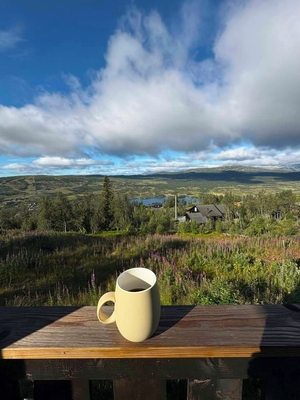 View from property