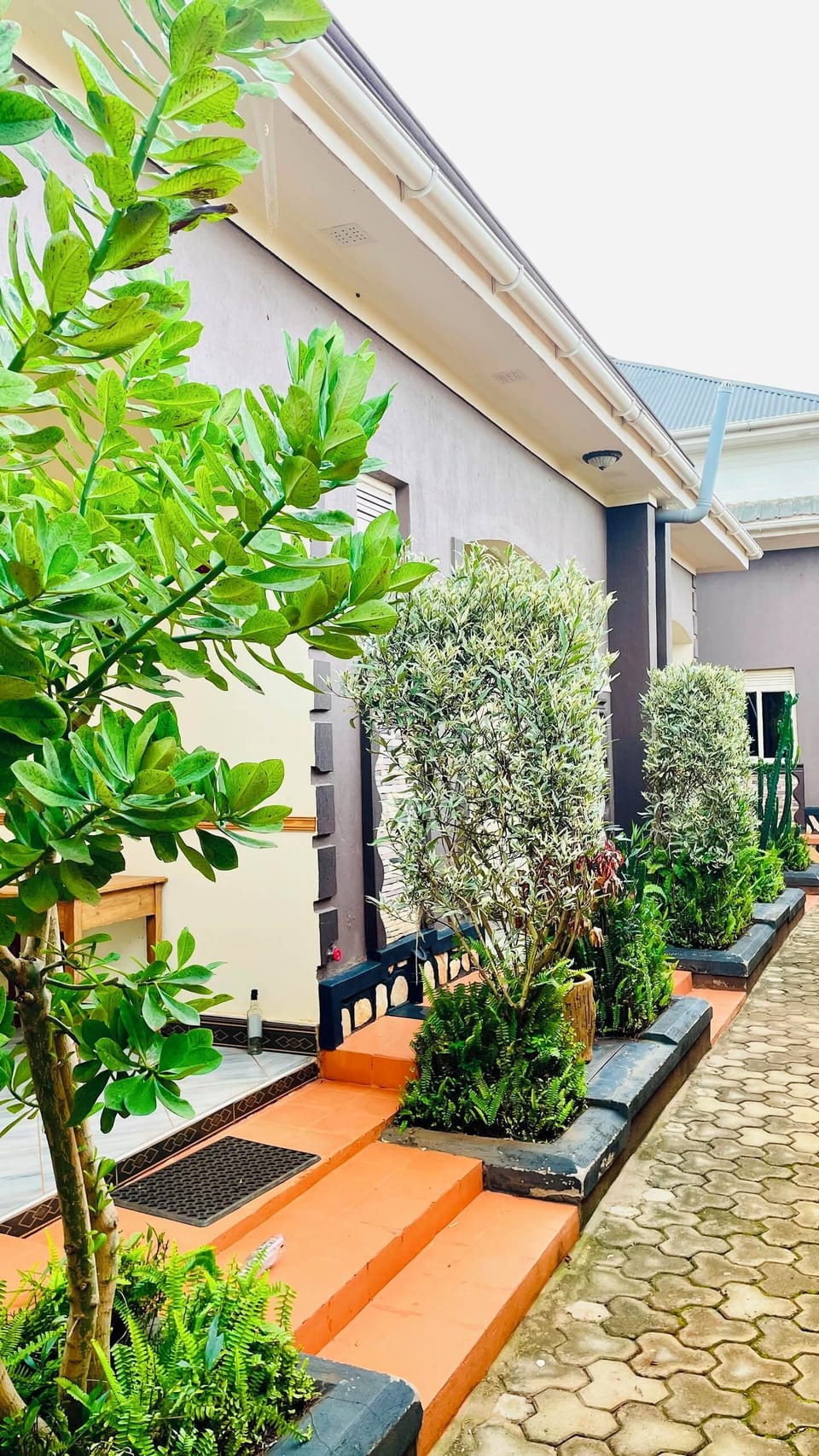 Economy Single Room, Courtyard View | Property grounds