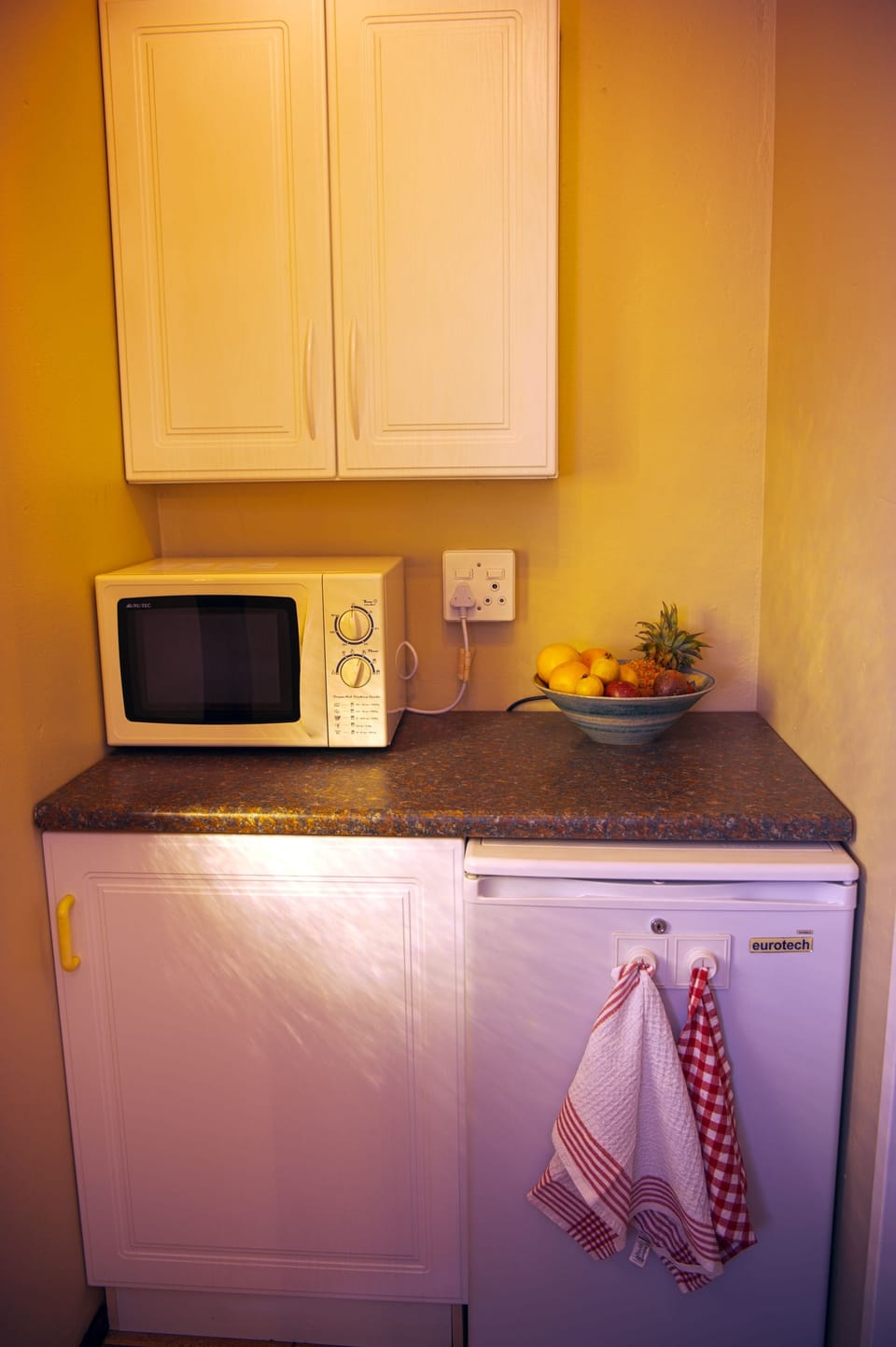 Lion Cottage | Private kitchenette | Fridge, coffee/tea maker, cookware/dishes/utensils