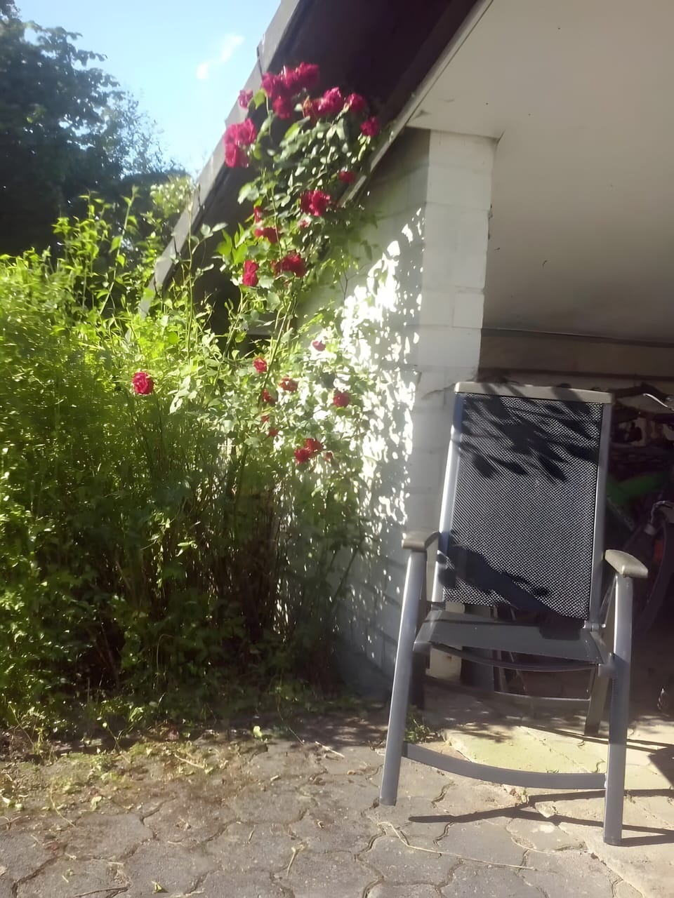 Miscellaneous