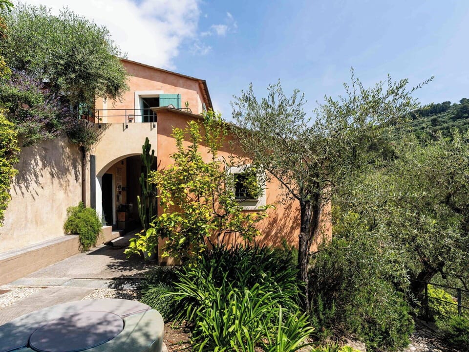 Leaf, Vegetation, Shrub, Architecture, Home, Garden, Estate, Landscaping, Hacienda