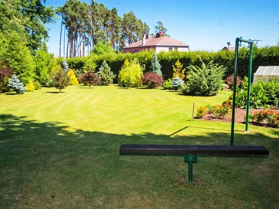 Grass, Green, Shrub, Garden, Lawn, Woody Plant, Landscaping, Shade, Park