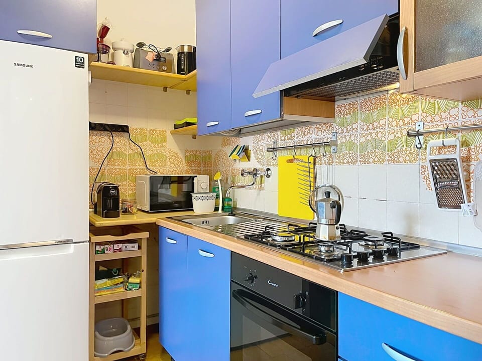 Kitchen Appliance, Kitchen, Major Appliance, Kitchen Stove, Stove, Countertop, Gas Stove, Home Appliance, Cooktop, Kitchen Sink
