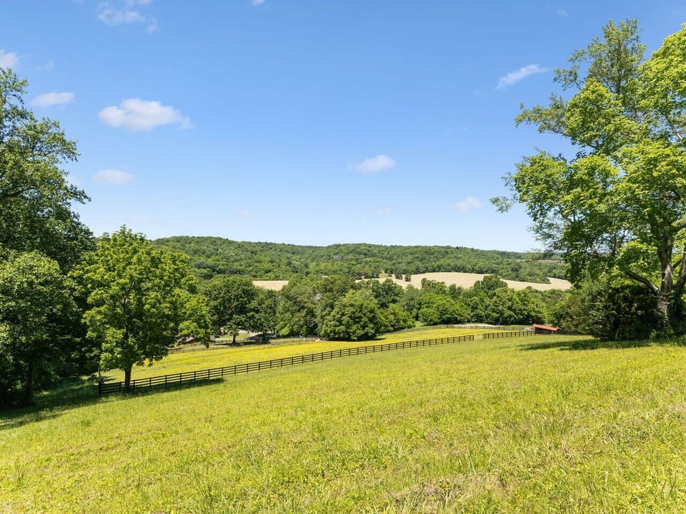 Views from the hill behind the property