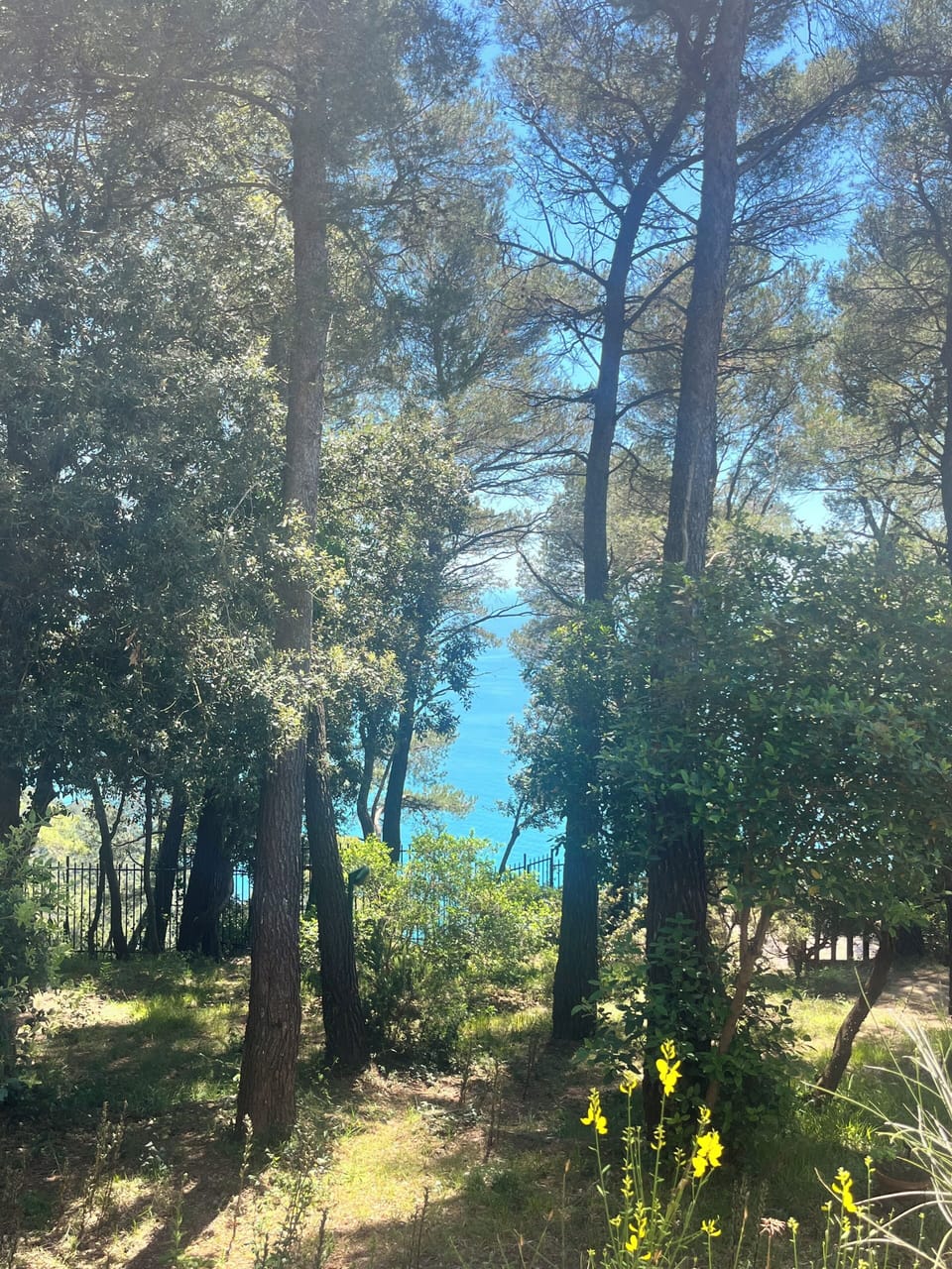 Basic Double or Twin Room, Partial Sea View | View from room