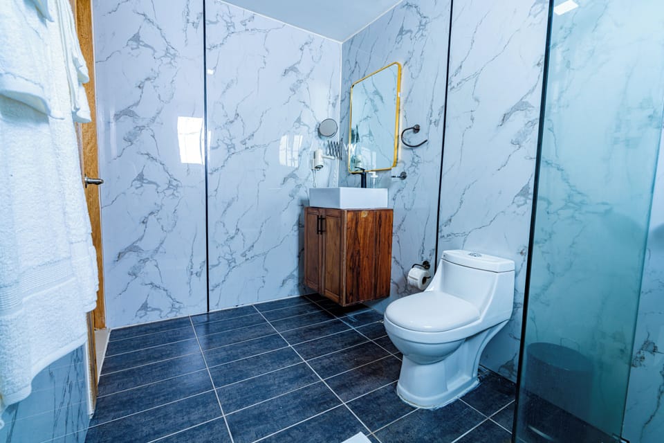 Double Room | Bathroom | Shower, towels, soap, toilet paper