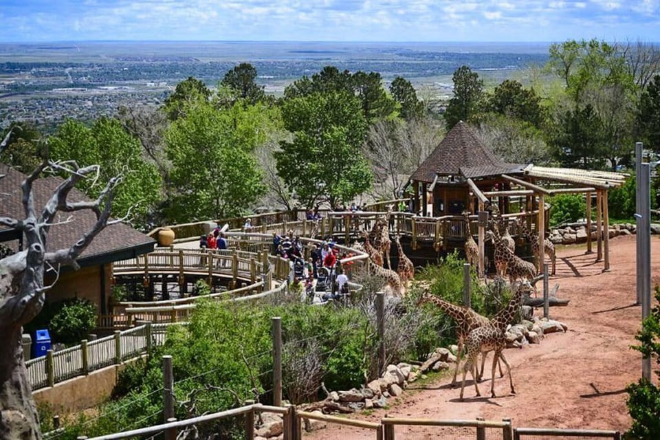 Cheyenne Mountain Zoo sits just up the road, perched on the mountainside with panoramic views of Colorado Springs and over 750 animals from more than 170 species. Rated the second best zoo in North America in 2025.