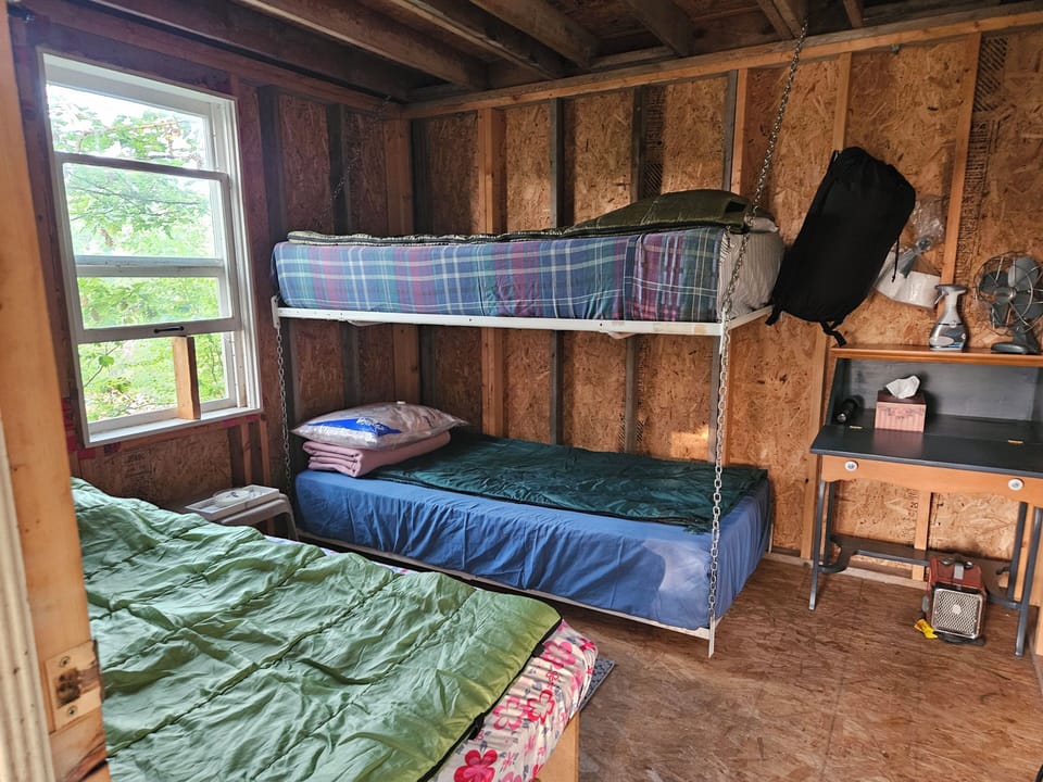 Bunkie 