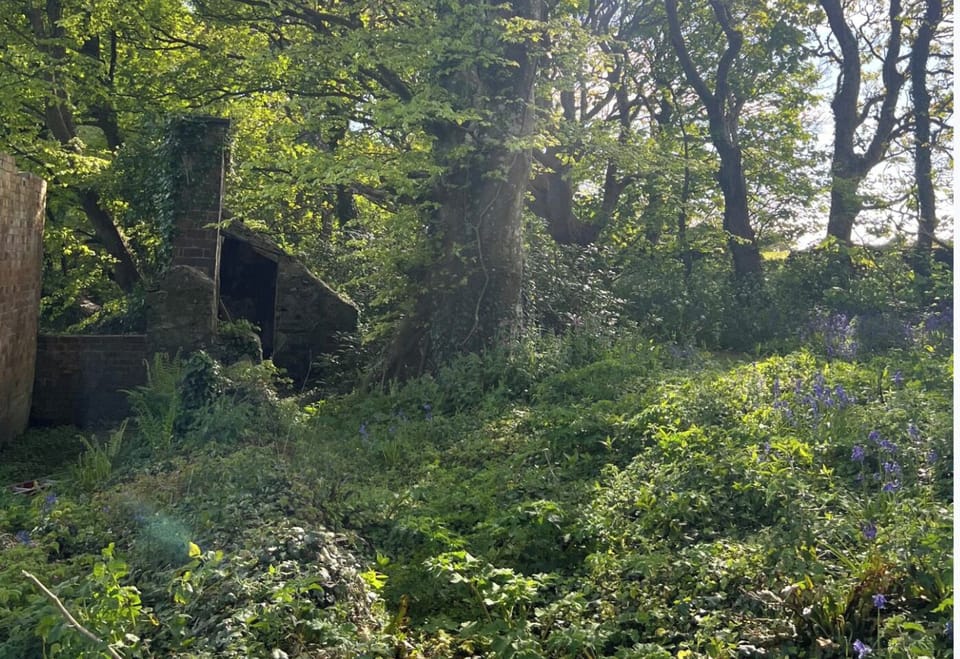 Image 20