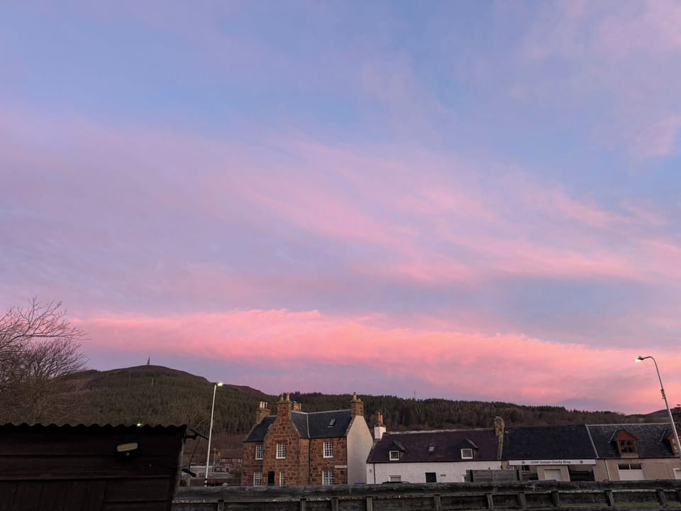 Come and enjoy the view from the kitchen.