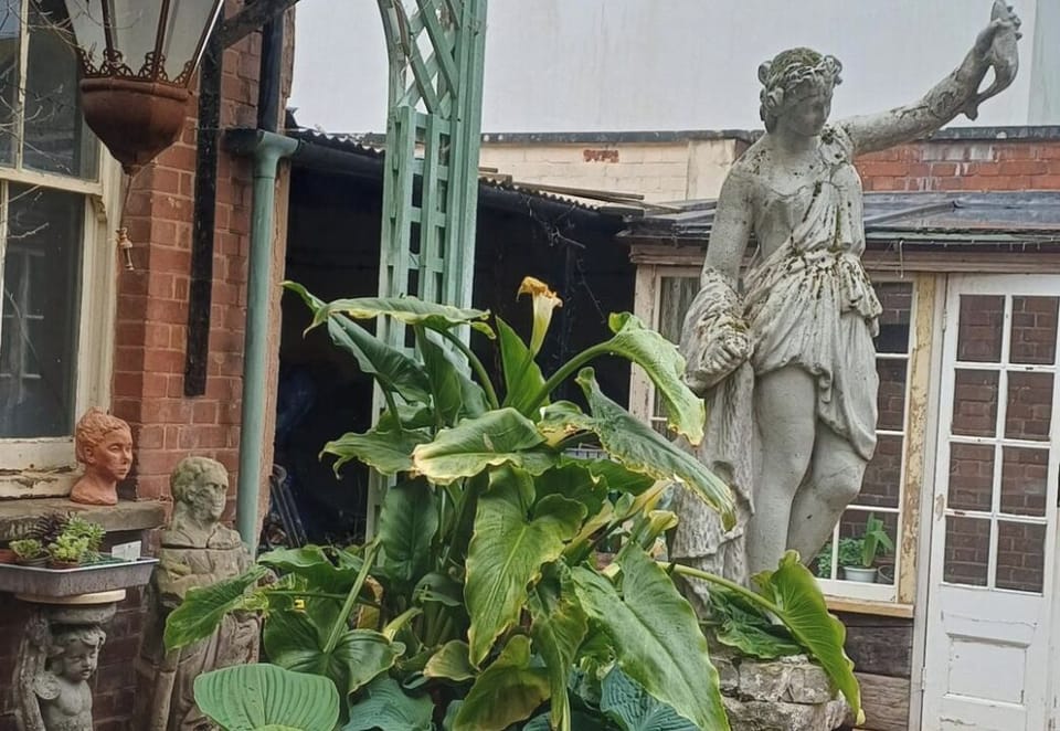 Image 15