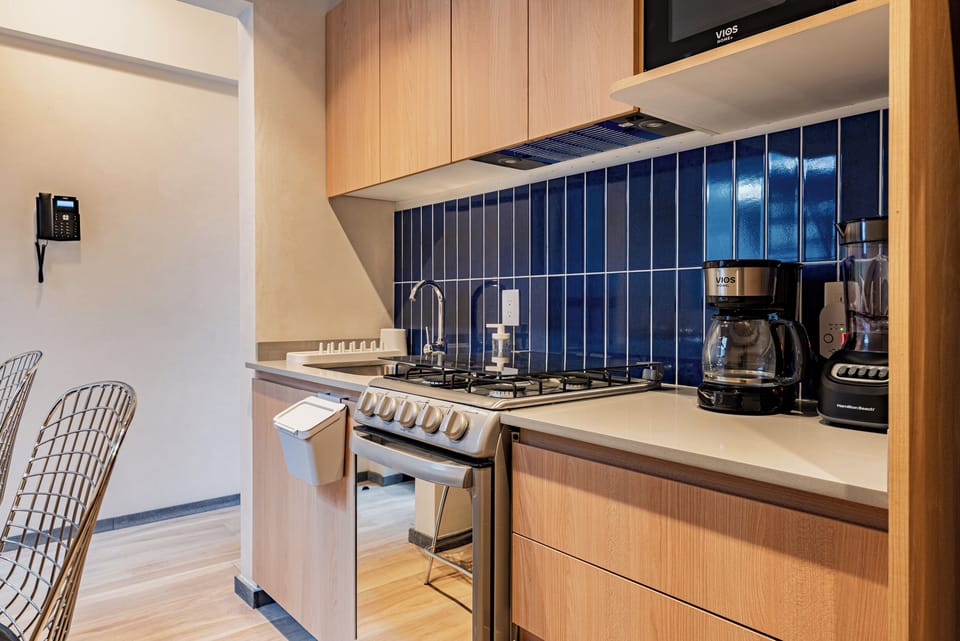 Standard Apartment | Private kitchen | Full-size fridge, microwave, oven, stovetop