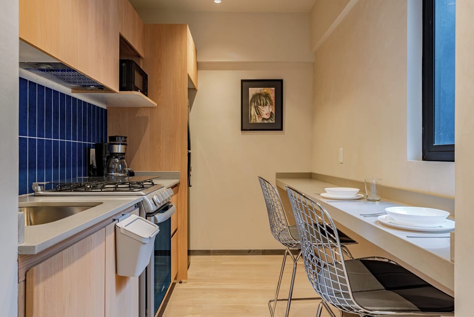 Standard Apartment | Private kitchen | Full-size fridge, microwave, oven, stovetop