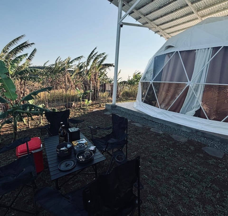 BBQ/picnic area