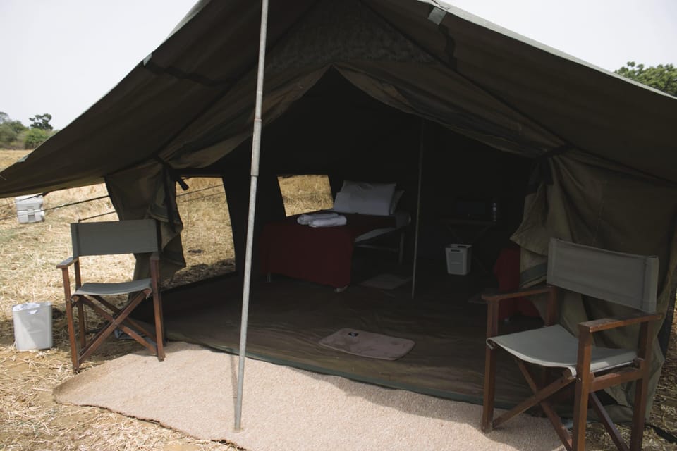 Comfort Tent, Park View