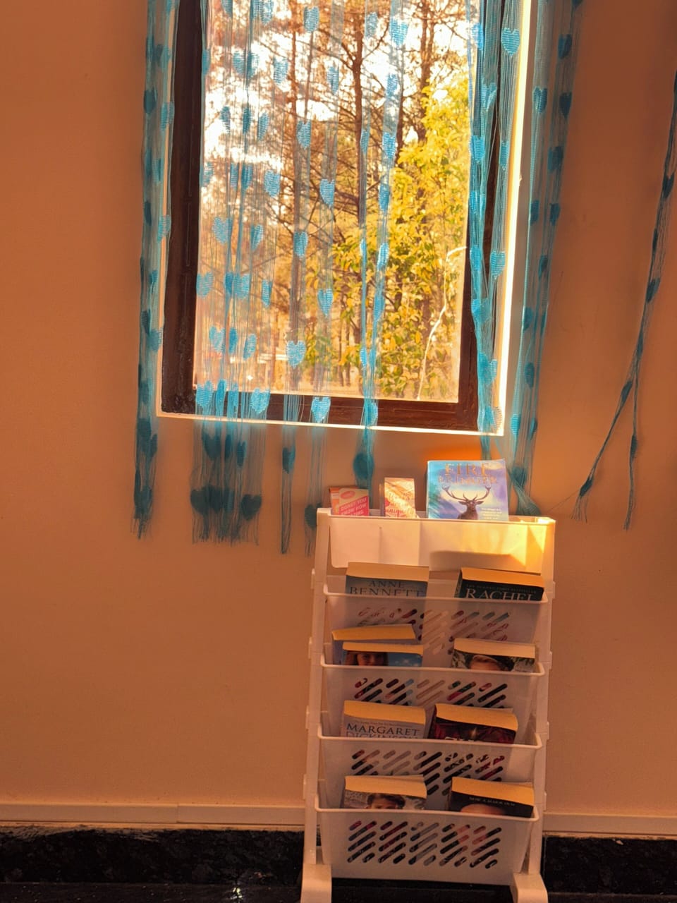 Interior detail