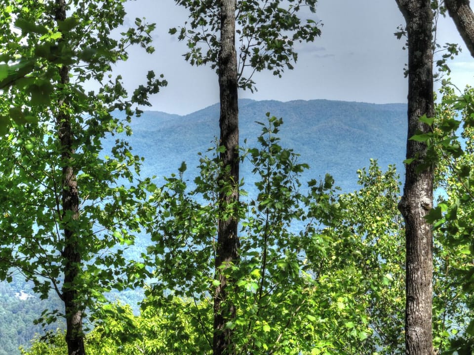 Enjoy a North Georgia Mountain vacation getaway any time of the year at this luxury cabin rental in Ellijay