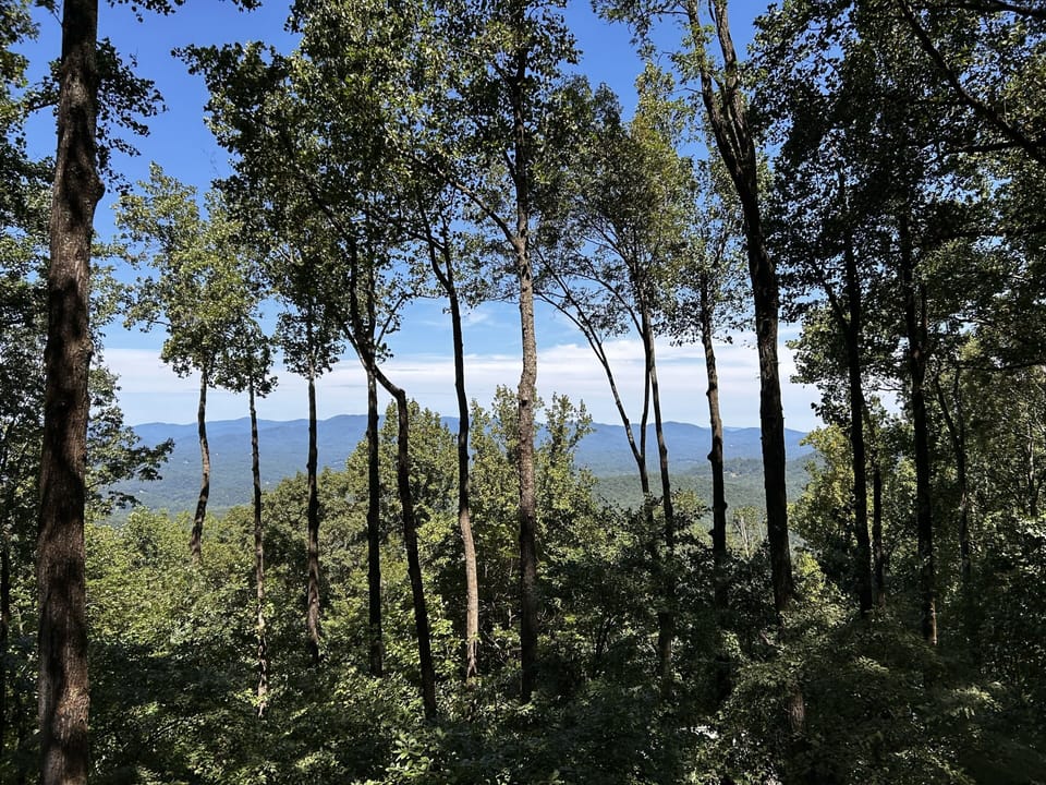 Enjoy a North Georgia Mountain vacation getaway any time of the year at this luxury cabin rental in Ellijay
