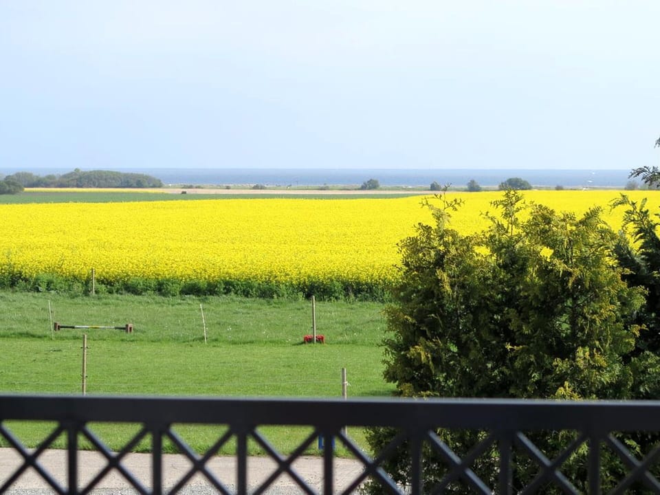 Apartment | View from property