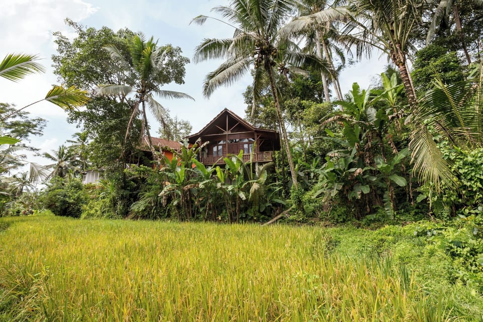 Signature Cabin, Hill View | View from room
