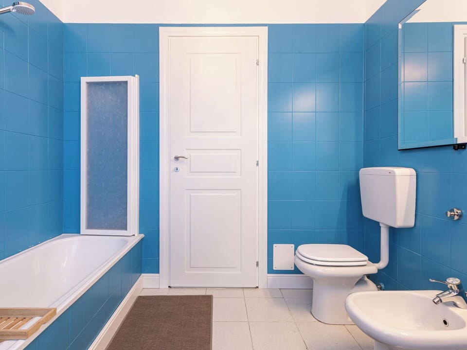 Blue, Bathroom, Flooring, Plumbing Fixture, Wall, Floor, Interior Design, Sink, Toilet, Plumbing