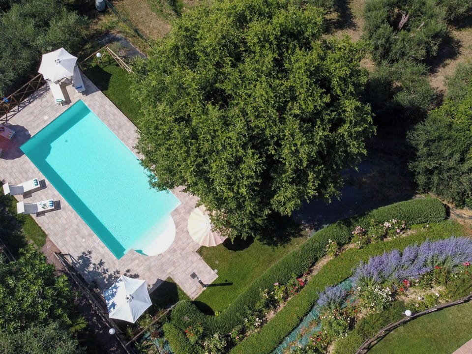 Swimming Pool, Garden, Leisure, Resort, Lawn, Estate, Backyard, Landscaping, Shade, Yard