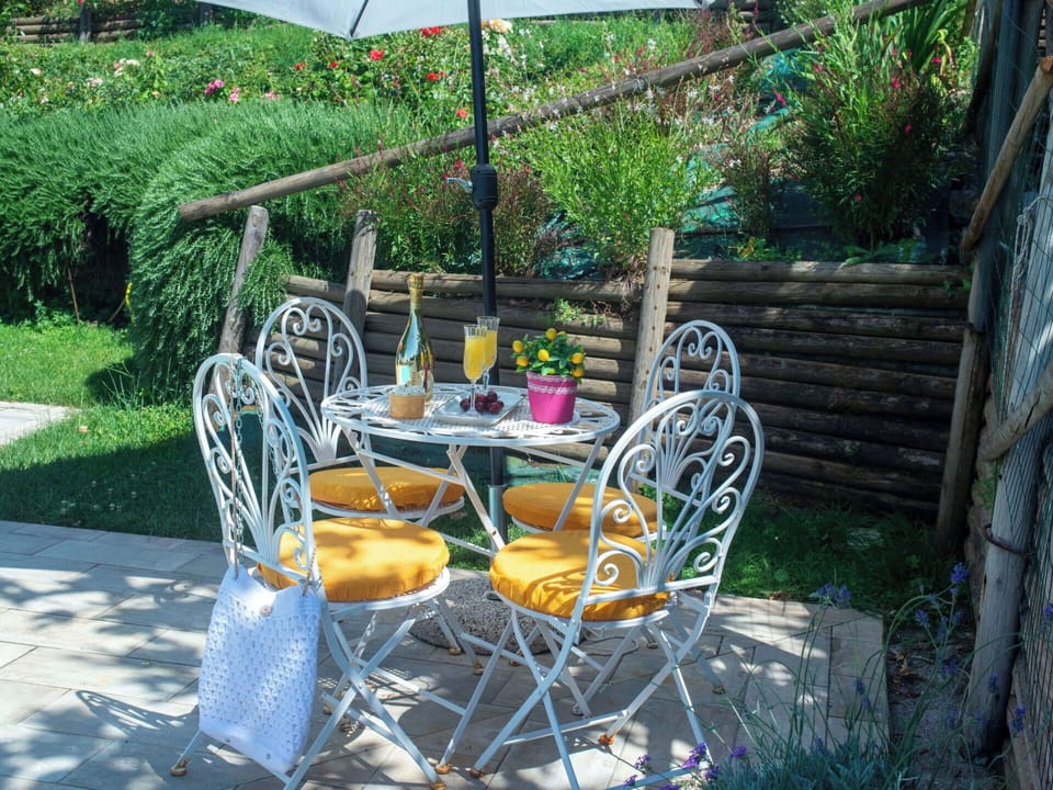 Furniture, Chair, Outdoor Furniture, Table, Outdoor Table, Flowerpot, Garden, Patio, Houseplant