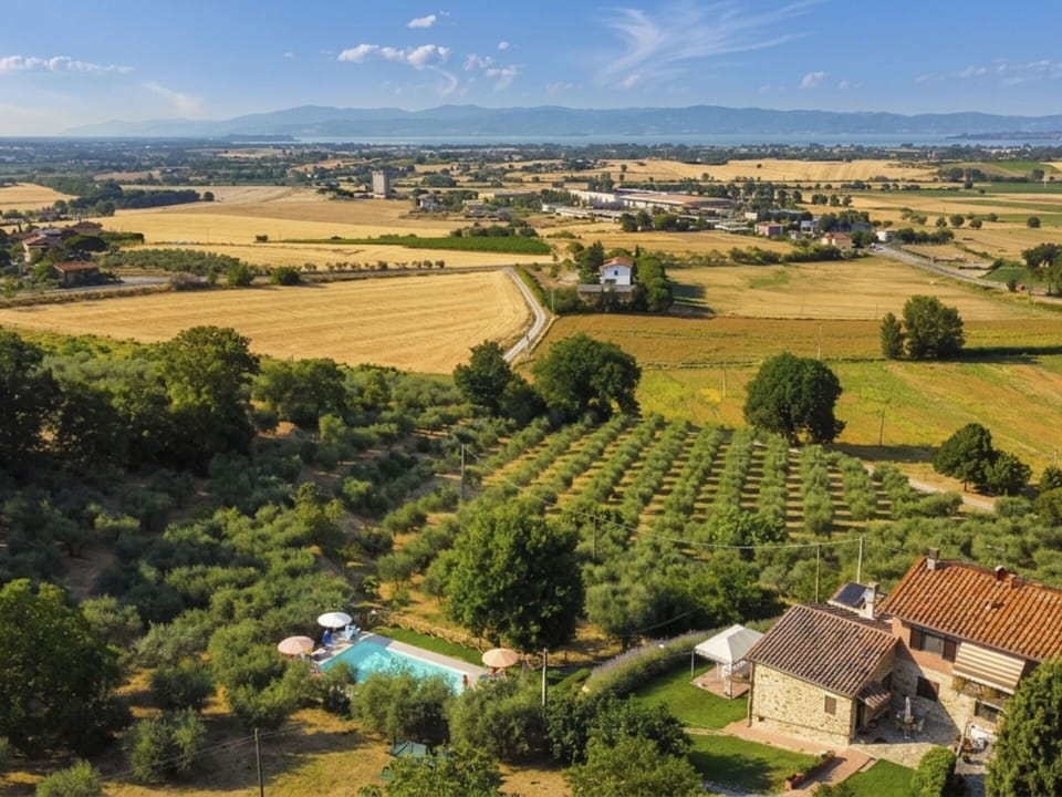 Landscape, Rural Area, Residential Area, House, Land Lot, Plain, Human Settlement, Field, Estate, Plantation
