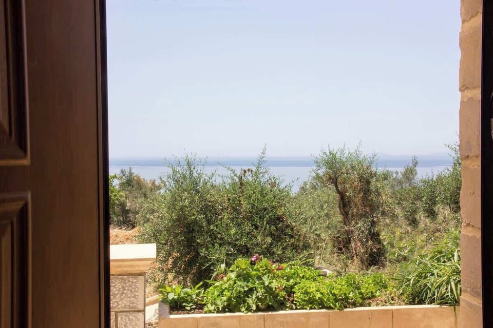 Views across olive groves toward the coastline connect the apartment naturally with the landscape surrounding Stoupa and Kardamyli.