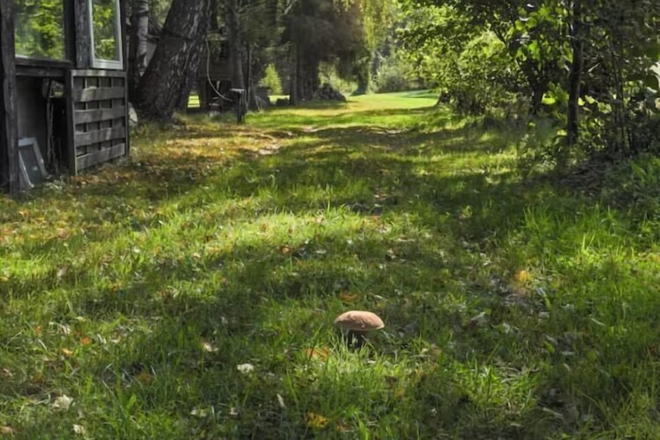 Garden [summer]