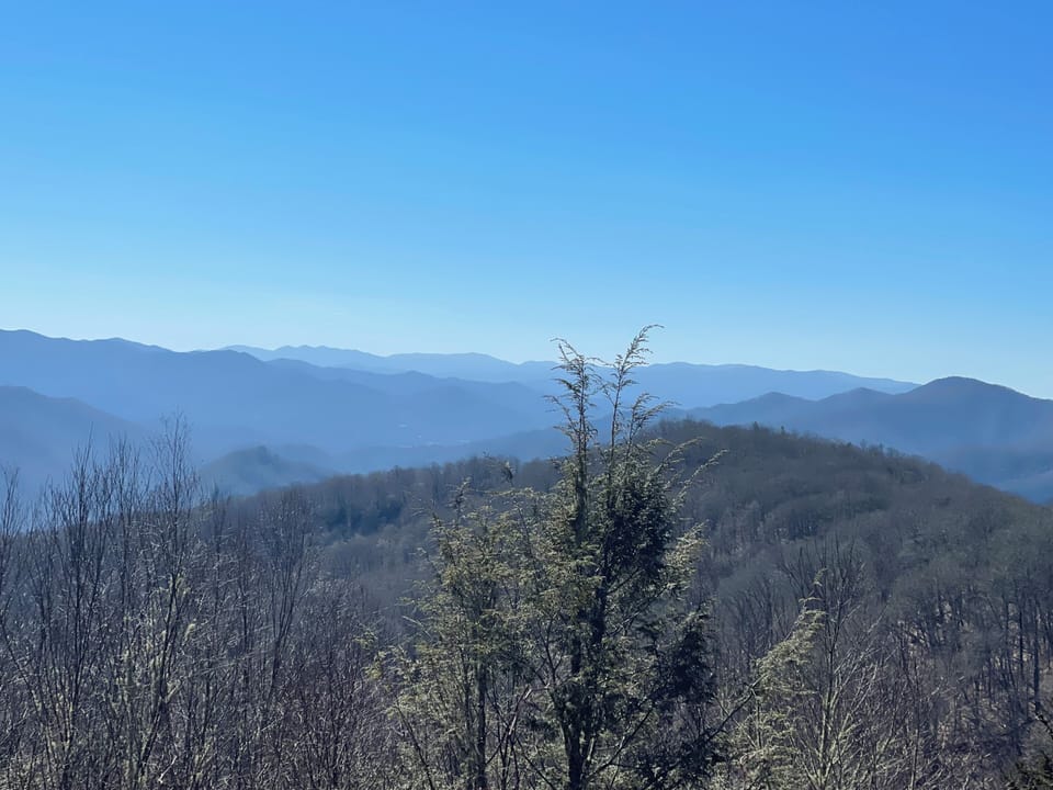 Luxury Apartment, Pets Allowed, Mountain View | Miscellaneous