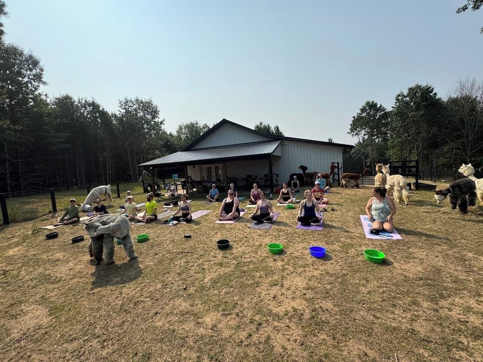 Alpaca yoga can be added to your stay. 