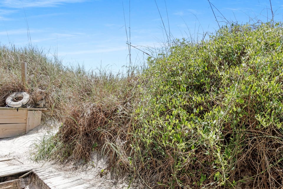 House, Multiple Beds (Turtle's Nest) | Miscellaneous
