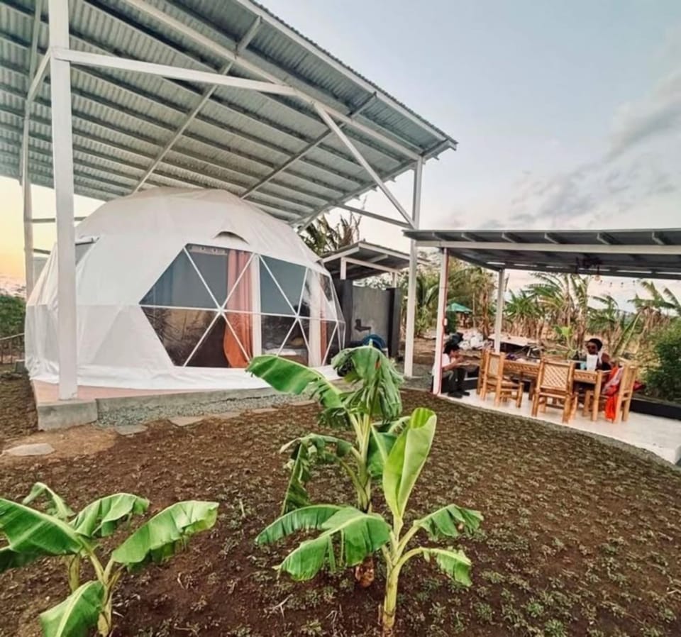 Property Buildning