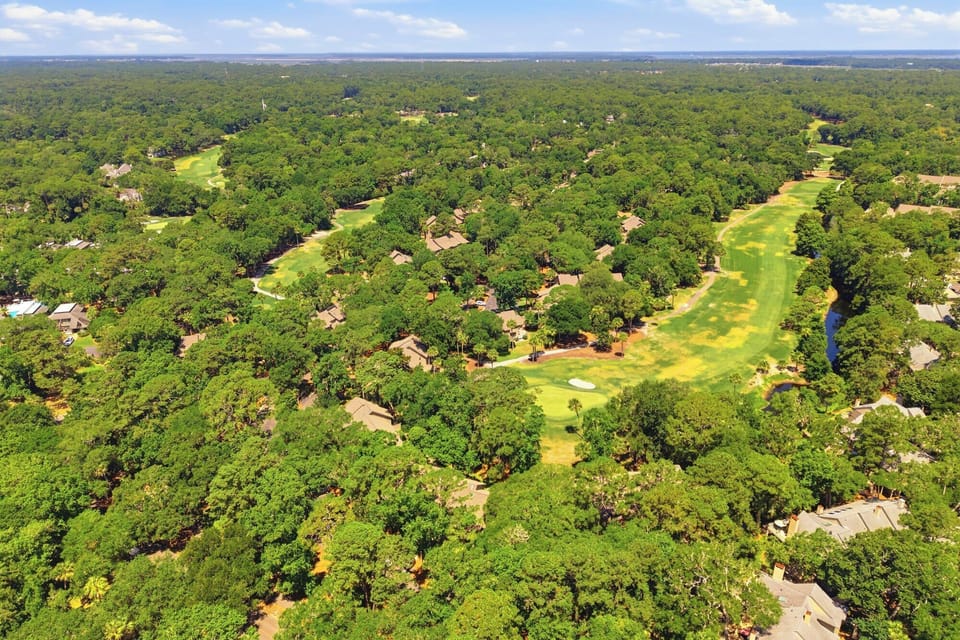 Emerald tree canopies stretch across the horizon, veiling quiet homes and winding golf fairways in a sea of mossy green. Bright midday rays highlight the rolling turf and hidden waterways of this peaceful coastal forest.