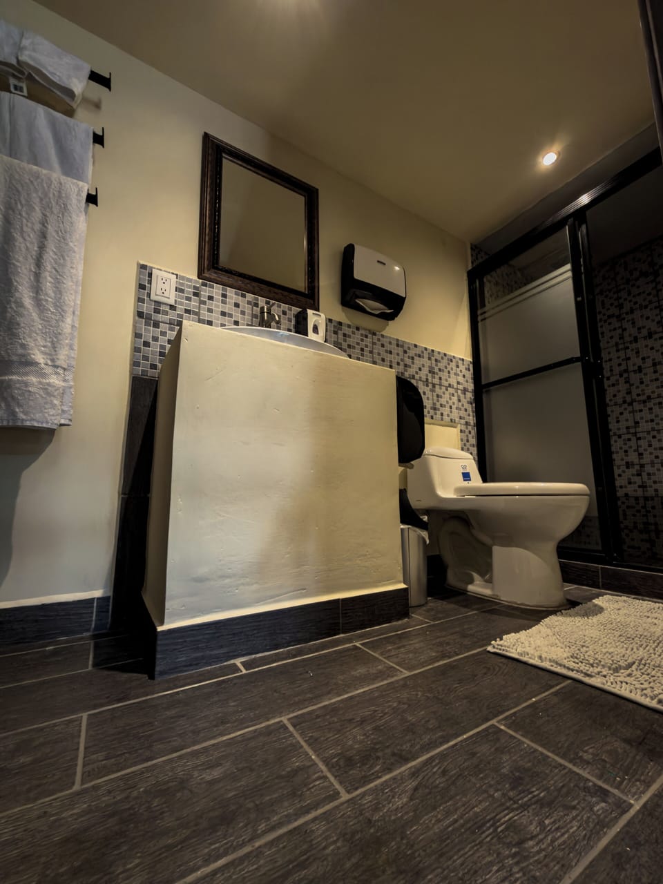 Comfort Room | Bathroom | Shower, hair dryer, towels, shampoo