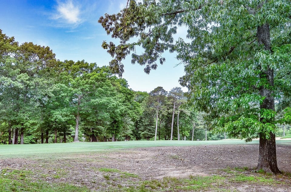 14SonoraWaygolfview