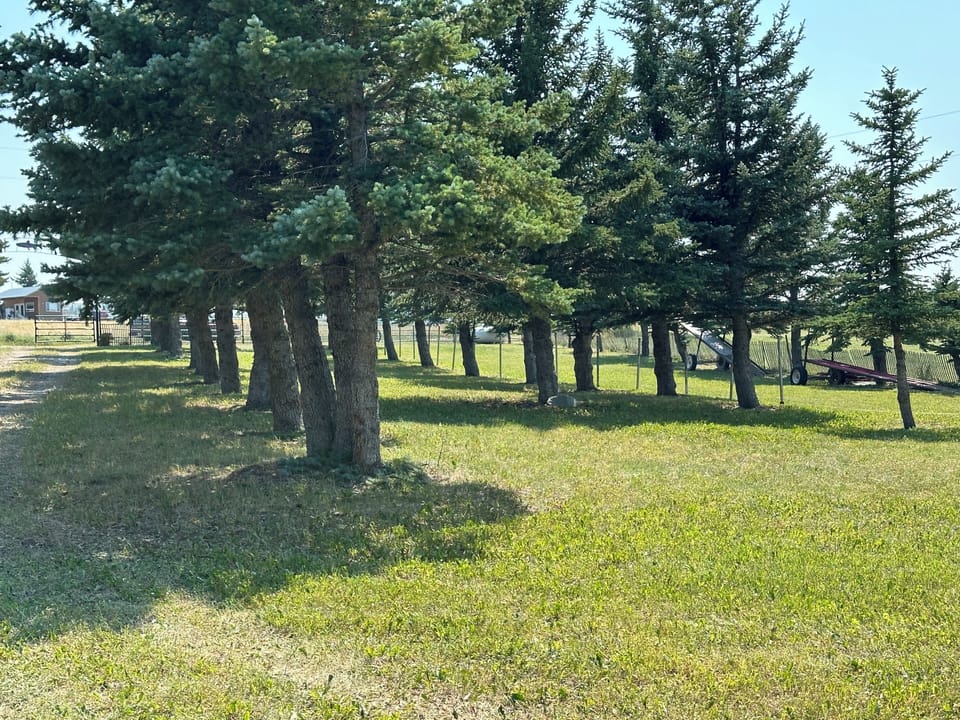 Property grounds
