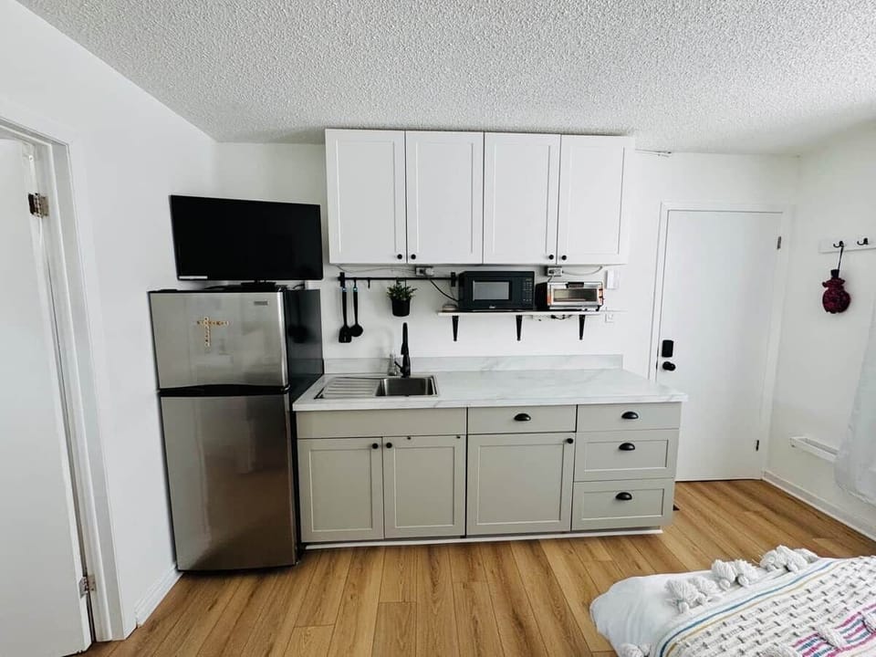 kitchenette with fridge, microwave, toaster oven, kettle, induction burner